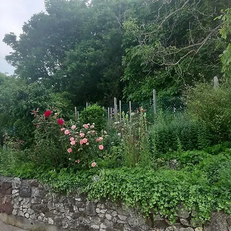 ゲストハウス Aleksa