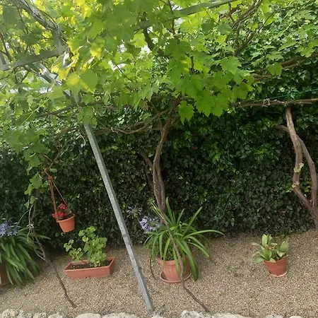 Aleksa ゲストハウス *