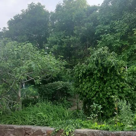 ゲストハウス Aleksa *