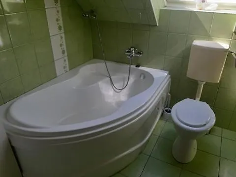 Casa de hóspedes Aleksa Lesencetomaj