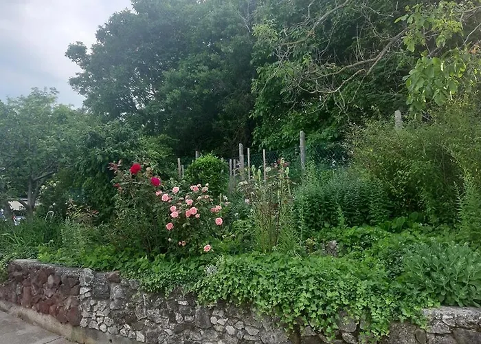 Casa de hóspedes Aleksa