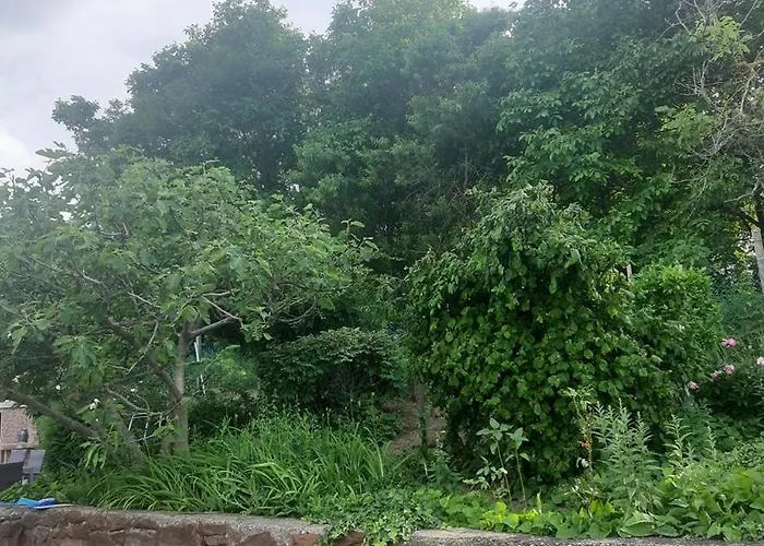 Casa de hóspedes Aleksa *