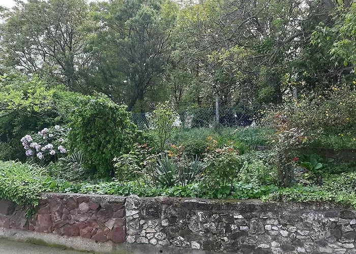 Casa de hóspedes Aleksa Lesencetomaj